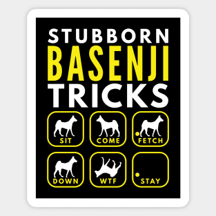 Stubborn Basenji Tricks - Dog Training Magnet